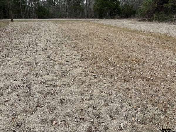 0.33 Acres of Residential Land for Sale in Bullard, Texas