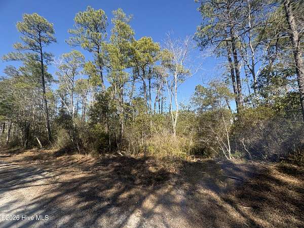 0.26 Acres of Residential Land for Sale in Boiling Spring Lakes, North Carolina