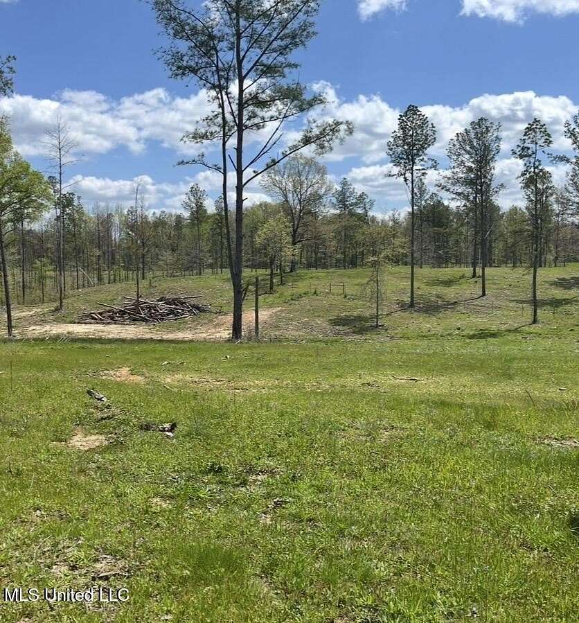 10 Acres of Recreational & Residential Land for Sale in Utica, Mississippi