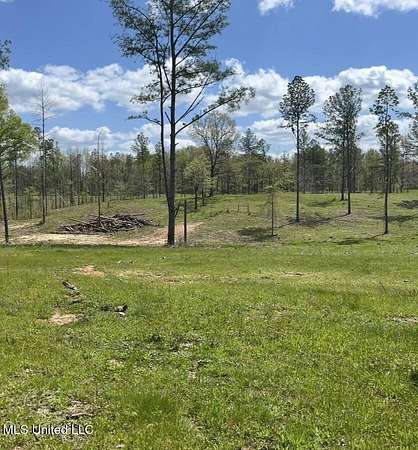 10 Acres of Recreational & Residential Land for Sale in Utica, Mississippi
