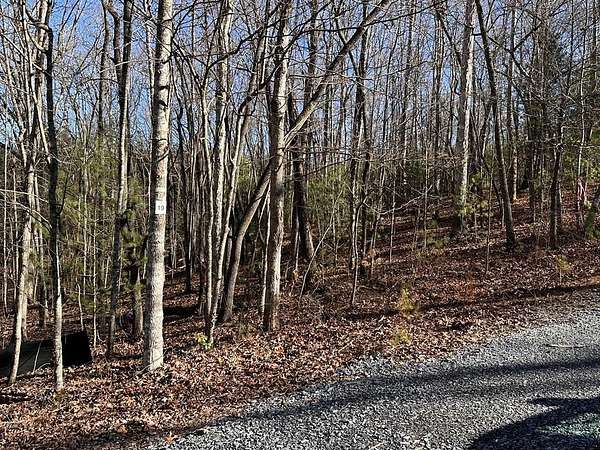 1.19 Acres of Residential Land for Sale in Morganton, Georgia