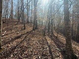 0.74 Acres of Residential Land for Sale in Ellijay, Georgia