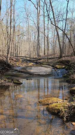 11.2 Acres of Recreational & Residential Land for Sale in Zebulon, Georgia