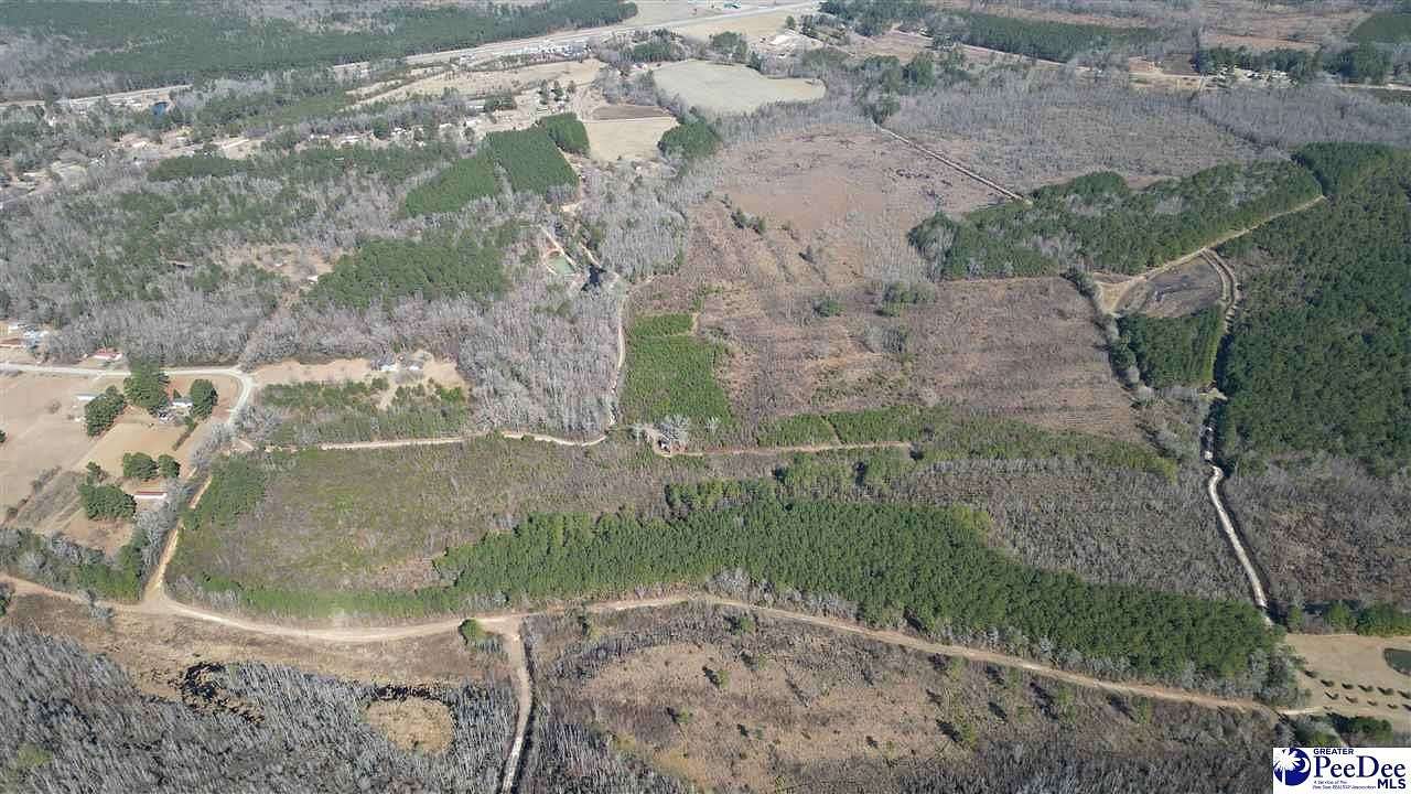 90 Acres of Recreational & Residential Land for Sale in Marion, South Carolina