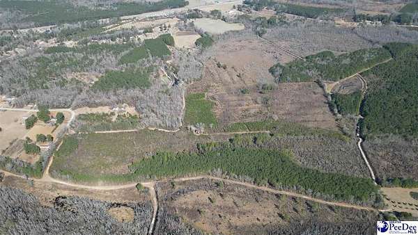 90 Acres of Recreational & Residential Land for Sale in Marion, South Carolina