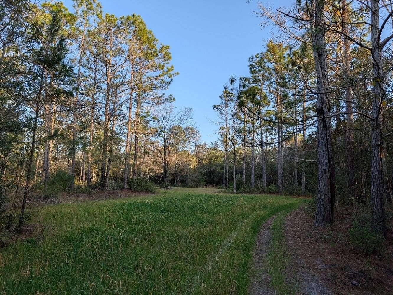 5.5 Acres of Residential Land for Sale in Crestview, Florida