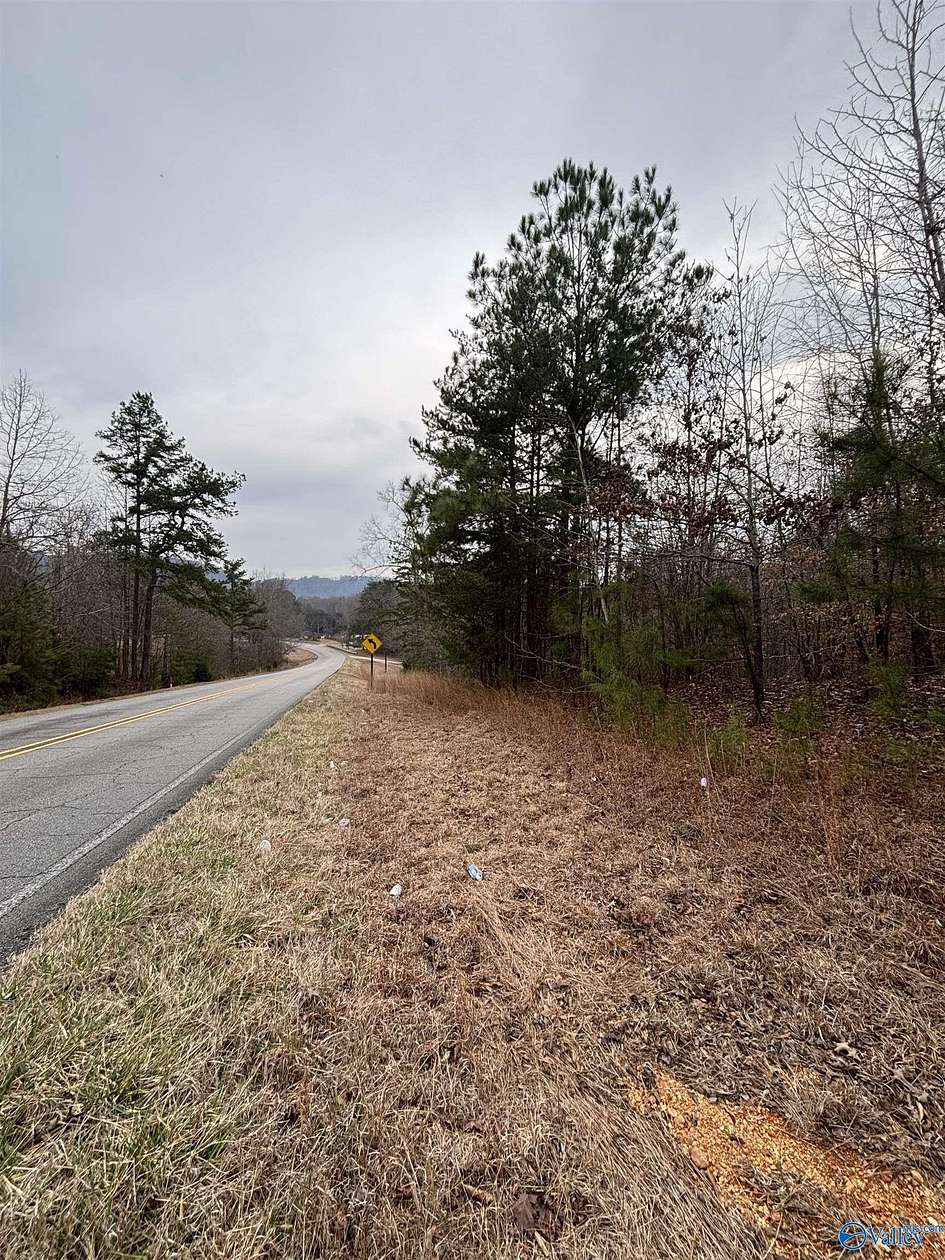 17 Acres of Recreational Land for Sale in Attalla, Alabama