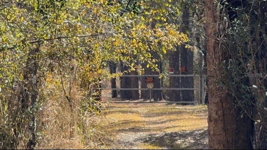 97 Acres of Land for Sale in Bowling Green, Florida