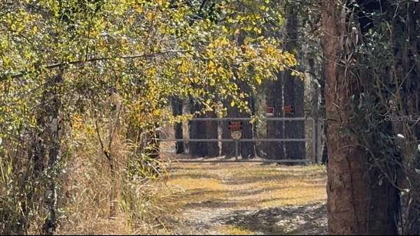 97 Acres of Land for Sale in Bowling Green, Florida