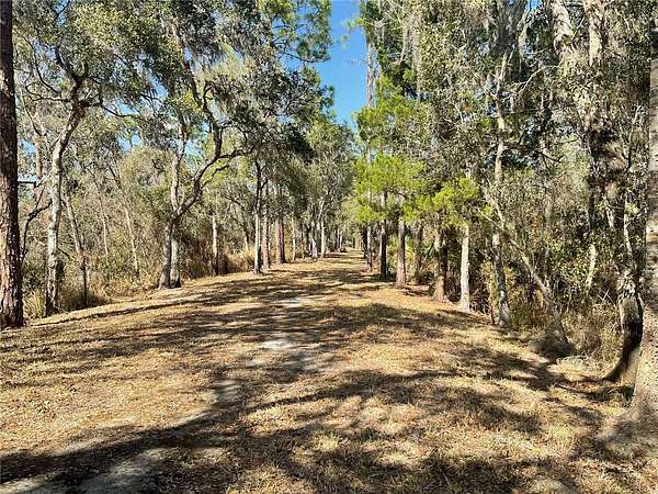 97 Acres of Land for Sale in Bowling Green, Florida