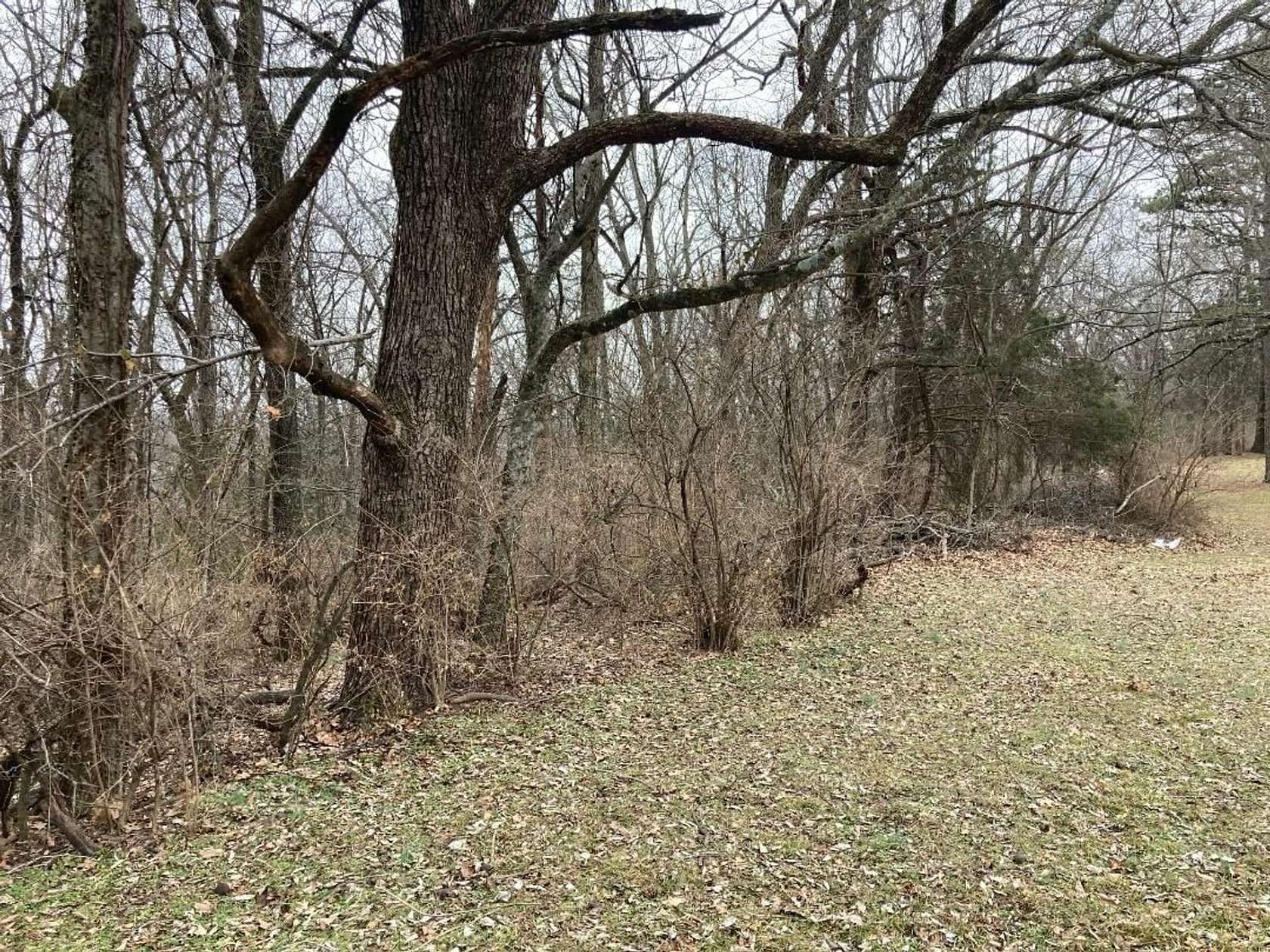 3.47 Acres of Recreational Land for Sale in Greenland, Arkansas