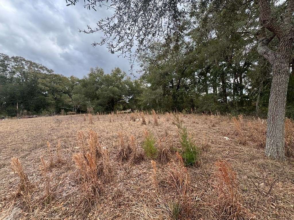 0.26 Acres of Residential Land for Sale in Bell, Florida