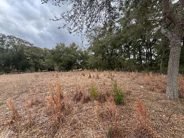 0.26 Acres of Residential Land for Sale in Bell, Florida