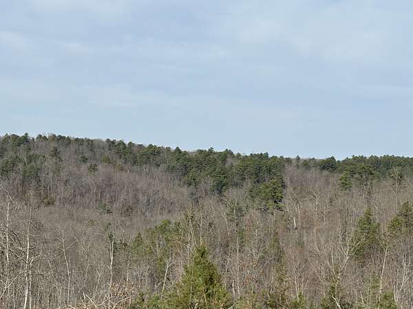 204 Acres of Recreational Land for Sale in Bunker, Missouri