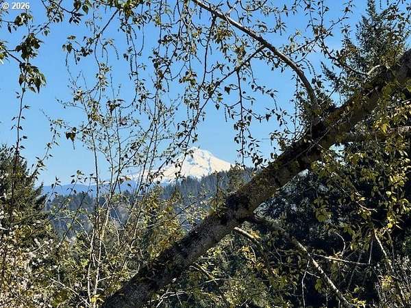 4.67 Acres of Residential Land for Sale in Happy Valley, Oregon