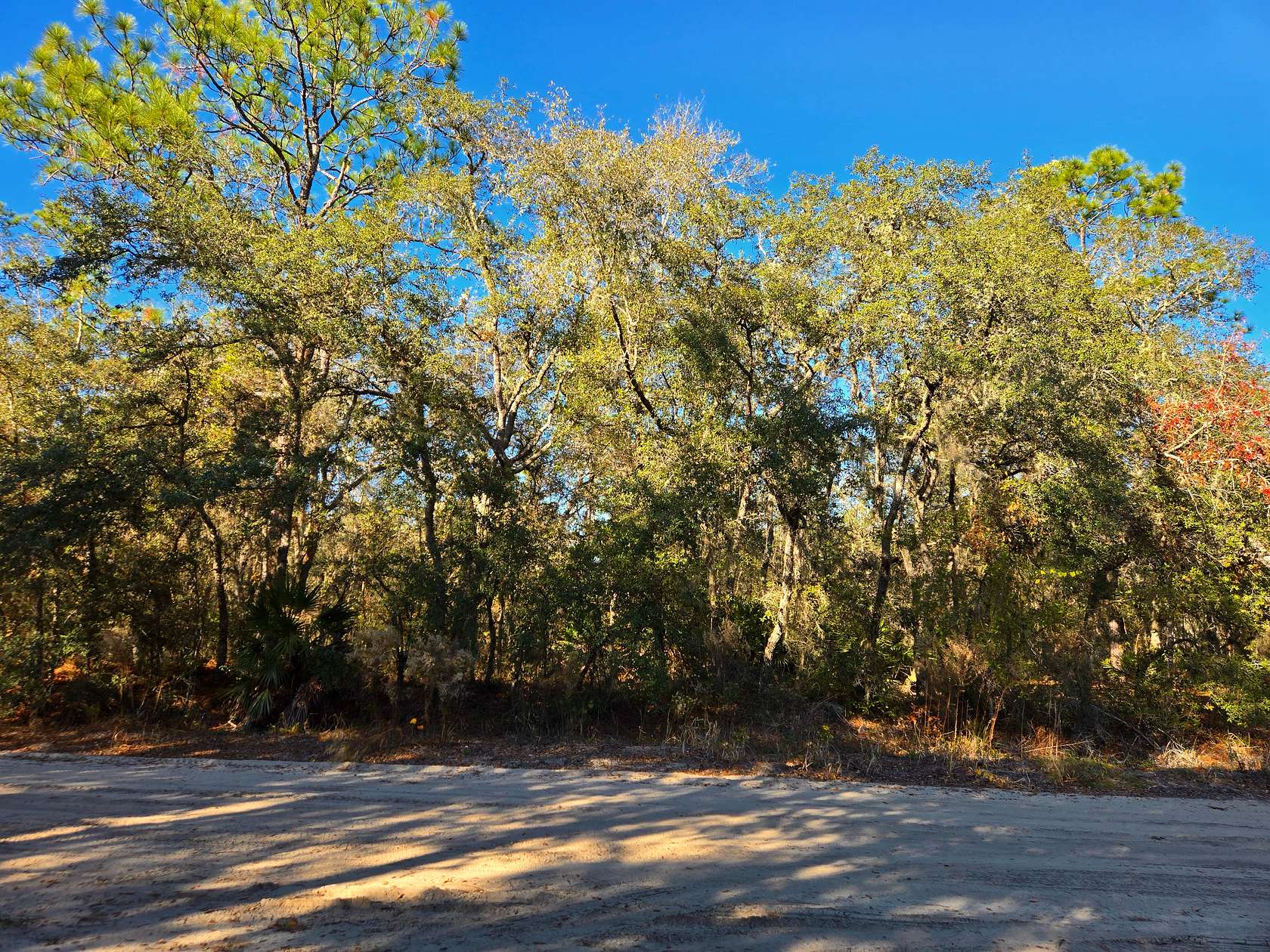 0.22 Acres of Residential Land for Sale in Interlachen, Florida
