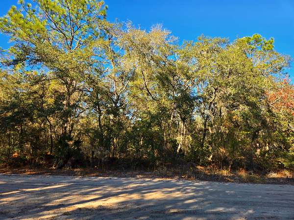 0.22 Acres of Residential Land for Sale in Interlachen, Florida