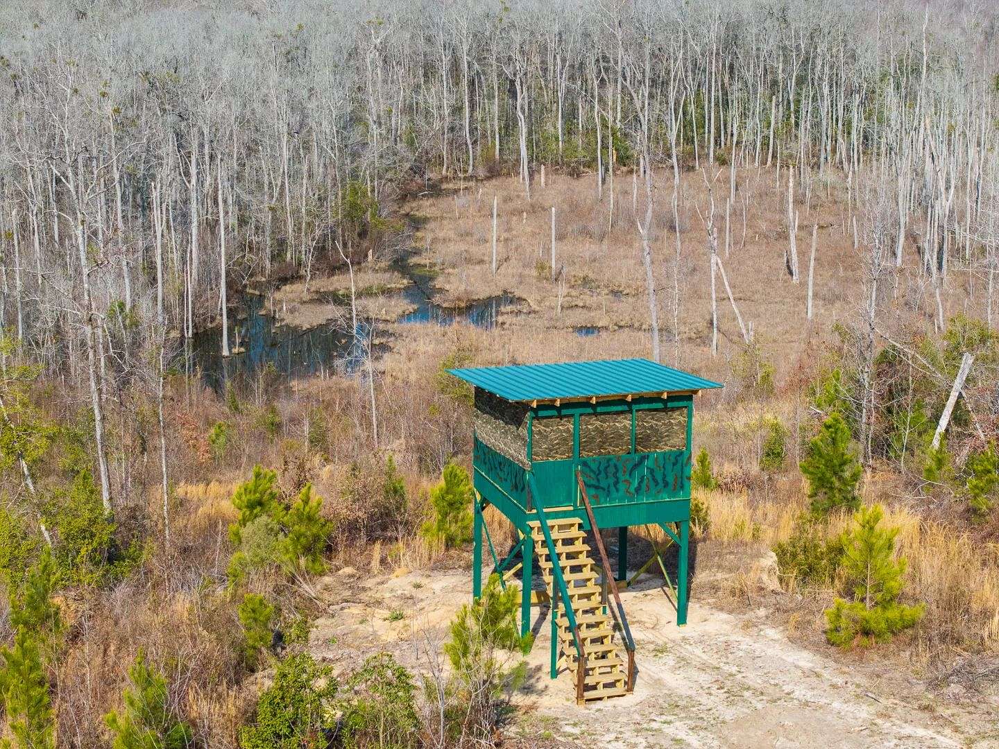 289 Acres of Land for Sale in Avera, Georgia