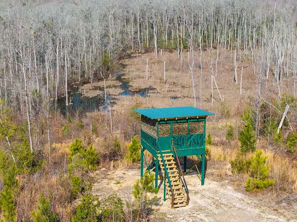 289 Acres of Land for Sale in Avera, Georgia