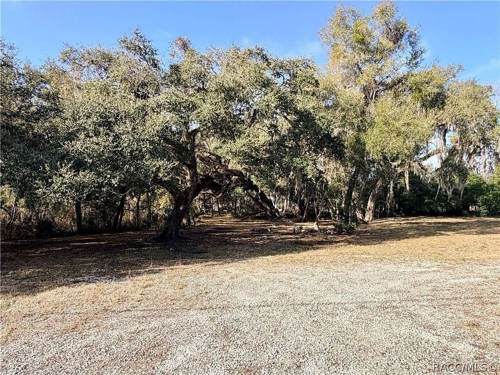 3.19 Acres of Commercial Land for Sale in Floral City, Florida