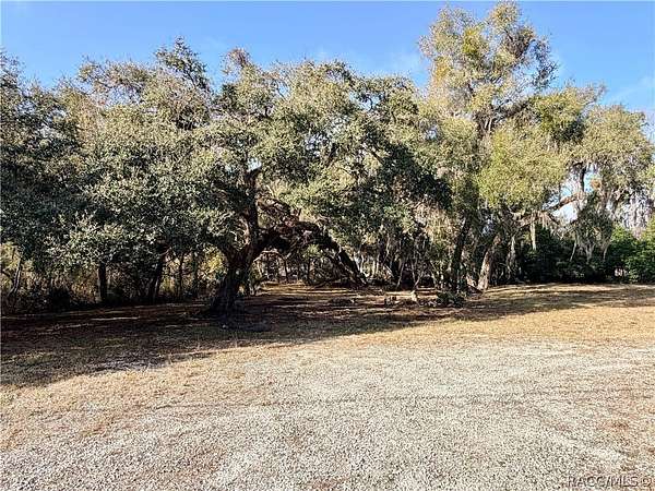 3.19 Acres of Commercial Land for Sale in Floral City, Florida