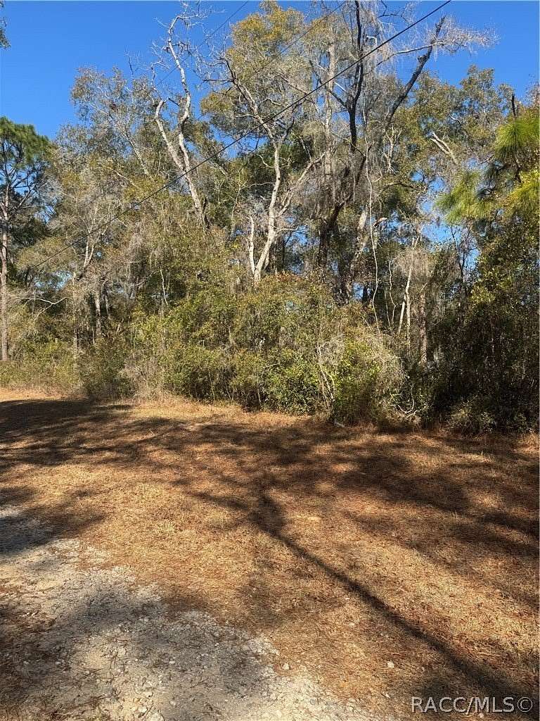 0.22 Acres of Residential Land for Sale in Inverness, Florida