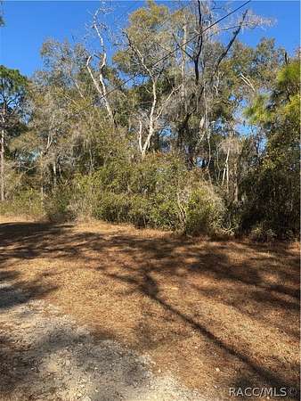 0.22 Acres of Residential Land for Sale in Inverness, Florida