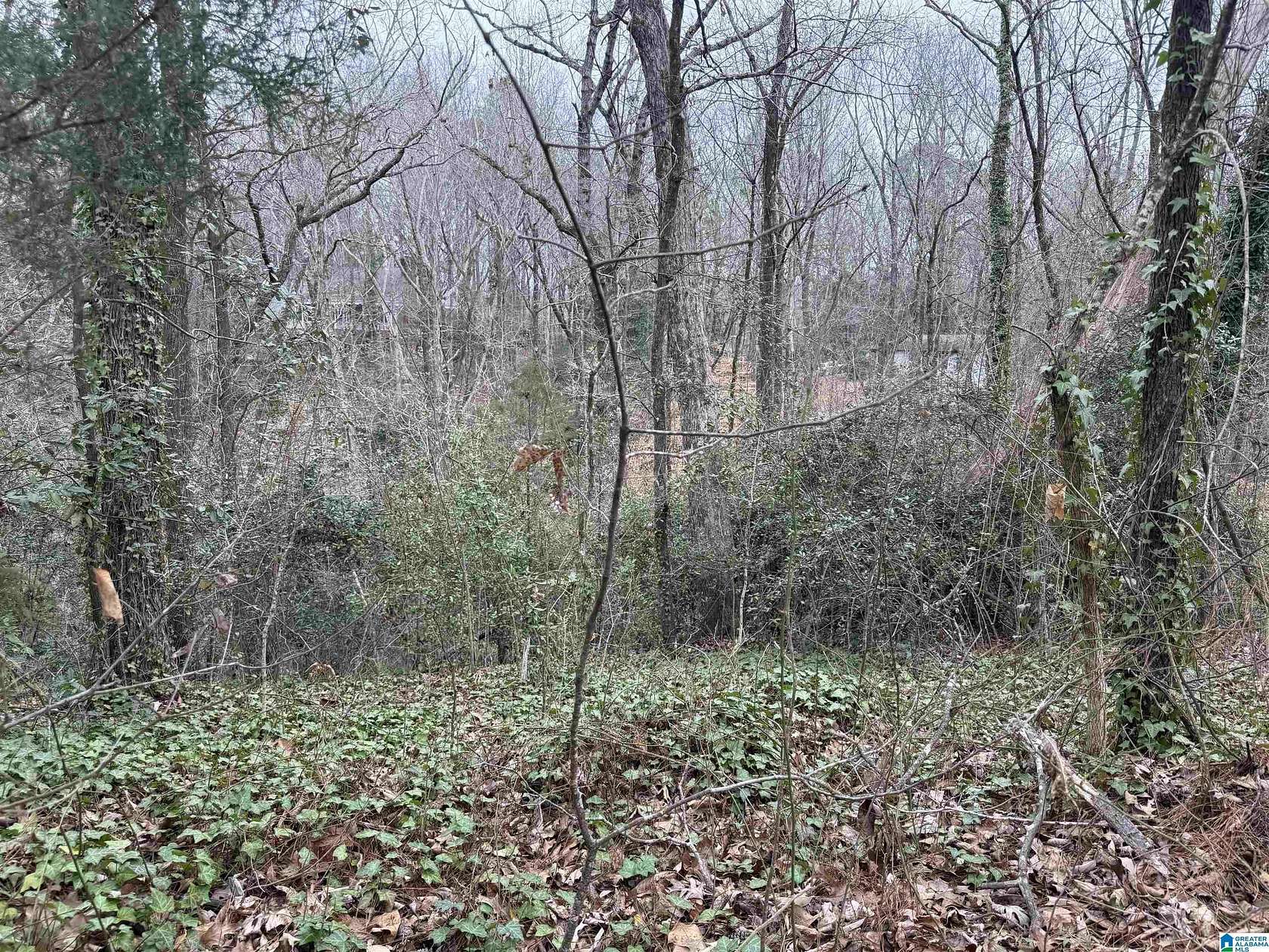 1.84 Acres of Residential Land for Sale in Sylacauga, Alabama