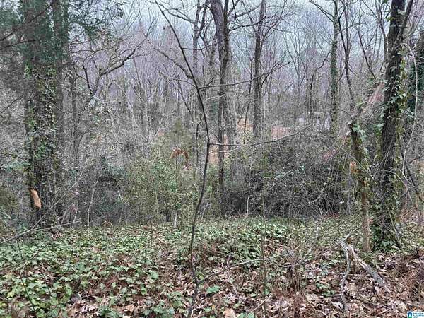 1.84 Acres of Residential Land for Sale in Sylacauga, Alabama