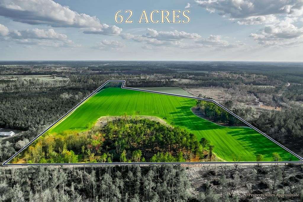 62 Acres of Land for Sale in Alma, Georgia