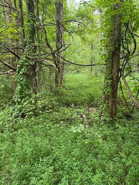 1.32 Acres of Residential Land for Sale in Cosby, Tennessee
