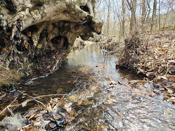 9.25 Acres of Residential Land for Sale in Holladay, Tennessee