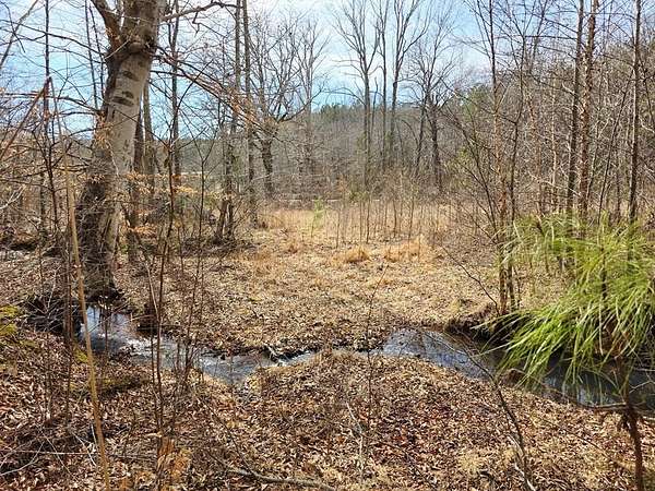 9.25 Acres of Residential Land for Sale in Holladay, Tennessee