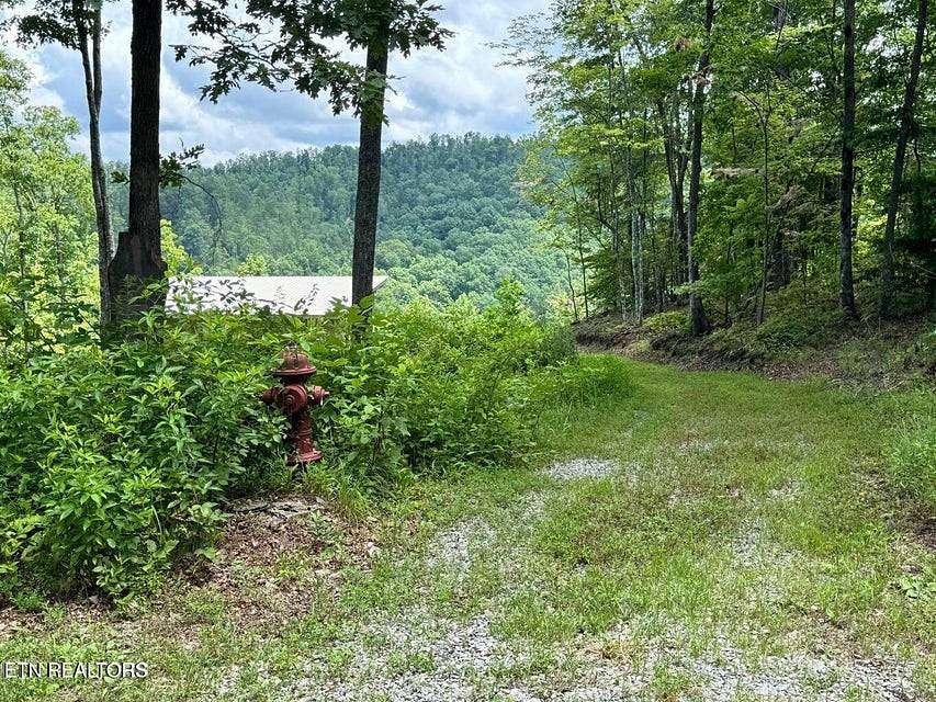 5.42 Acres of Residential Land for Sale in Crawford, Tennessee
