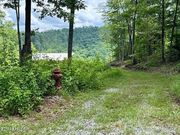 5.42 Acres of Residential Land for Sale in Crawford, Tennessee