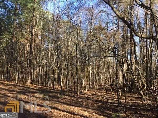 11.2 Acres of Land for Sale in Fayetteville, Georgia