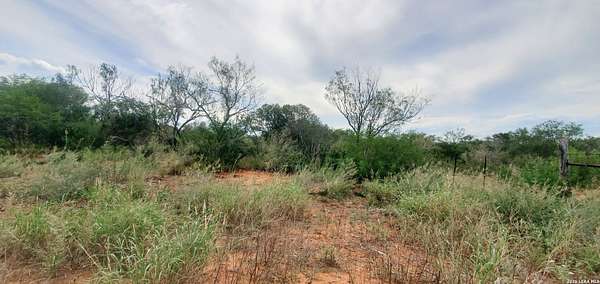 Land for Sale in Cotulla, Texas