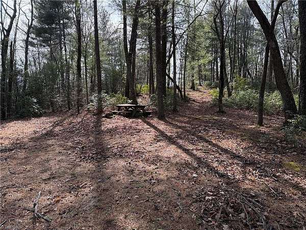 2 Acres of Residential Land for Sale in Purlear, North Carolina