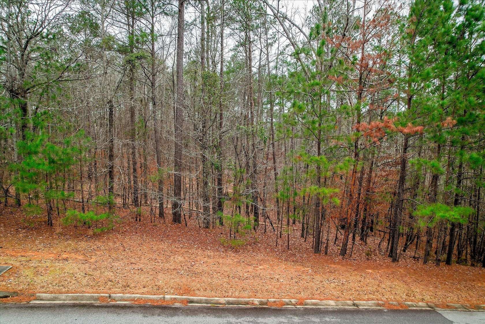 1.16 Acres of Residential Land for Sale in North Augusta, South Carolina