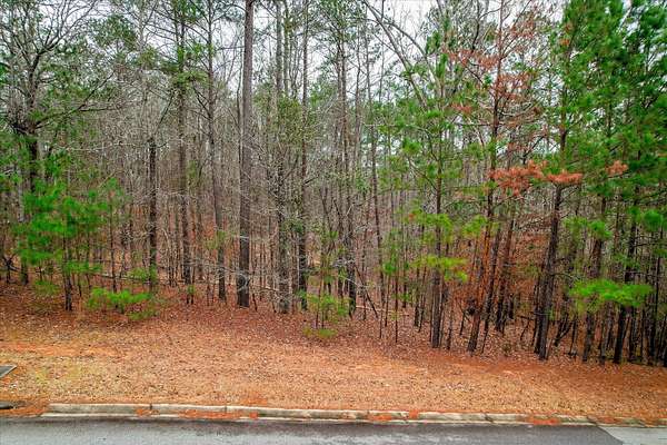 1.16 Acres of Residential Land for Sale in North Augusta, South Carolina
