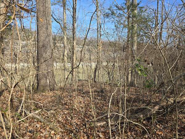 2 Acres of Residential Land for Sale in Burnside, Kentucky