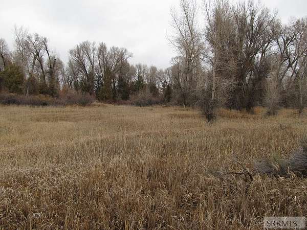 5 Acres of Land for Sale in Rigby, Idaho