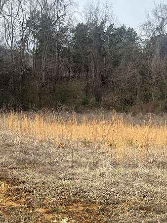 3.3 Acres of Residential Land for Sale in Rock Island, Tennessee