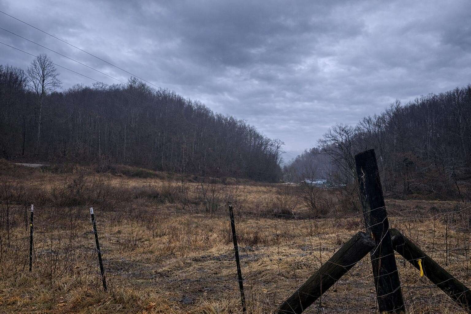 44 Acres of Land for Sale in Woollum, Kentucky