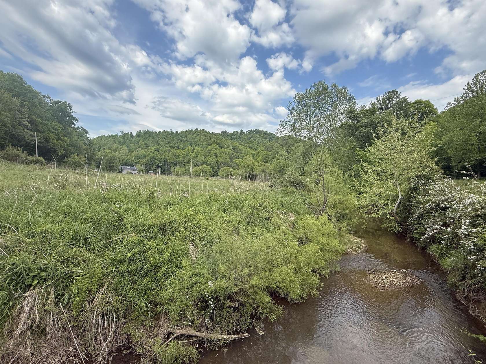 44 Acres of Land for Sale in Barbourville, Kentucky