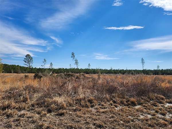 4.78 Acres of Residential Land for Sale in Live Oak, Florida