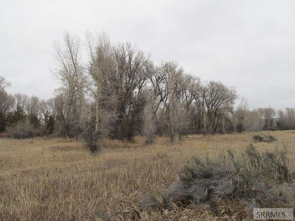 5 Acres of Land for Sale in Rigby, Idaho