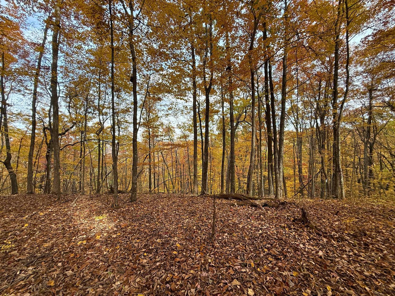 4.33 Acres of Residential Land for Sale in Monterey, Tennessee