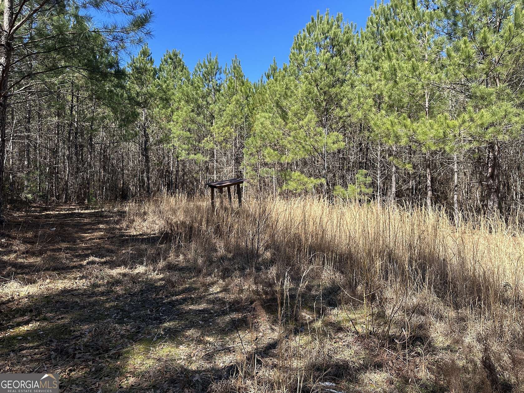 77 Acres of Recreational Land for Sale in Warm Springs, Georgia