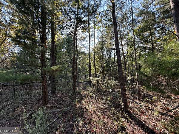 77 Acres of Recreational Land for Sale in Warm Springs, Georgia